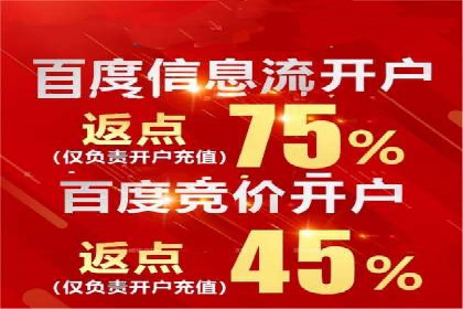 不同预算下的百度推广：案例分析与费用解析